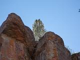 Pinnacles 001